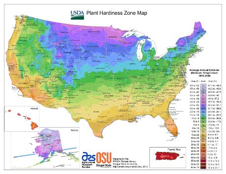 What to plant now by zip code. Things To Know About What to plant now by zip code. 